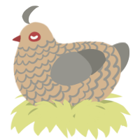 A beige and ash chicken with a lace pattern