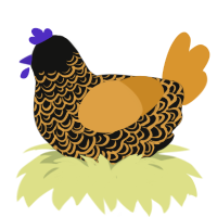 Gilded Ultraviolet, a black and orange chicken with a double-lace pattern