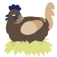 A bark and beige chicken with a neck-band pattern