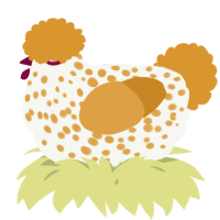 A white and orange chicken with a speckle pattern