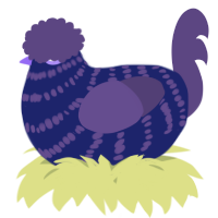 A navy and overcast chicken with a bar pattern