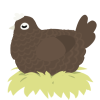 A bark chicken with a lace pattern