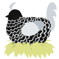 A black and mist chicken with a lace pattern