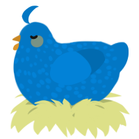 A sapphire chicken with a speckle pattern