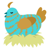 Turquoise, a aqua and gold chicken with a bar pattern