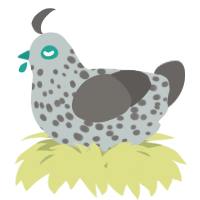 A silver and grey chicken with a speckle pattern