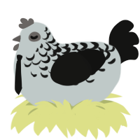 A silver and black chicken with a half-lace pattern