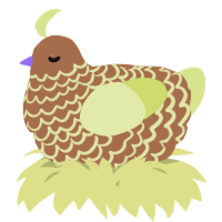A brown and lemon chicken with a lace pattern