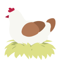 A white and brown chicken