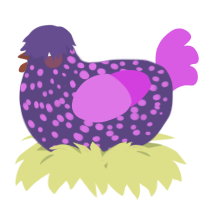 A overcast and orchid chicken with a speckle pattern