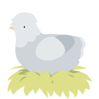 A mist chicken with a head pattern