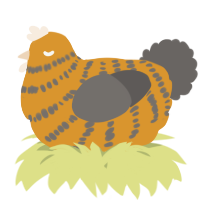 A orange and grey chicken with a bar pattern