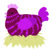 A wine and amethyst chicken with a bar pattern