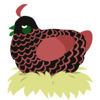 A black and red chicken with a lace pattern