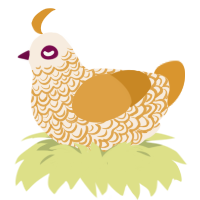 Dawn, a cream and orange chicken with a double-lace pattern