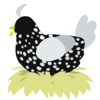 A black and mist chicken with a speckle pattern