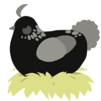 A black and ash chicken with a neck-speckle pattern