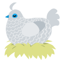 Sophia, a mist chicken with a lace pattern