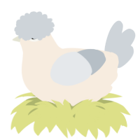 A cream and mist chicken