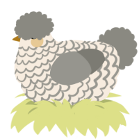 Dorothy, a cream and ash chicken with a lace pattern