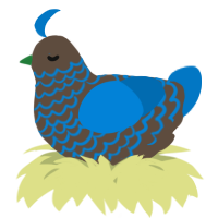 A bark and sapphire chicken with a lace pattern
