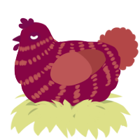 A maroon and red chicken with a bar pattern