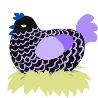 Bismuth, a black and lilac chicken with a lace pattern