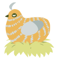 A honey and silver chicken with a bar pattern