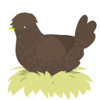 A bark chicken with a speckle pattern