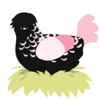 (unnamed), a black and rose chicken with a half-lace pattern