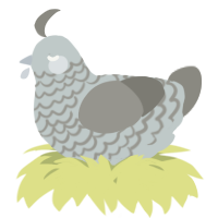 A silver and ash chicken with a lace pattern