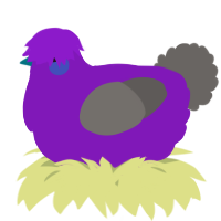 A violet and grey chicken