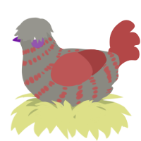 A ash and red chicken with a bar pattern