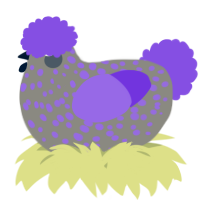 A ash and blurple chicken with a speckle pattern