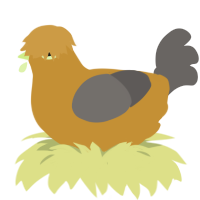 A gold and grey chicken