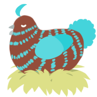 A russet and aqua chicken with a bar pattern