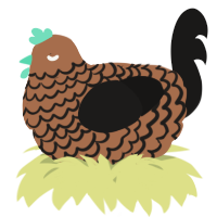 A brown and sable chicken with a lace pattern
