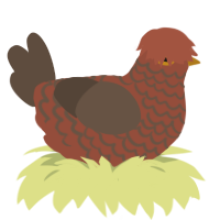 Mangeur de Scarabées, a russet and bark chicken with a lace pattern