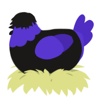 A sable and indigo chicken with a head pattern
