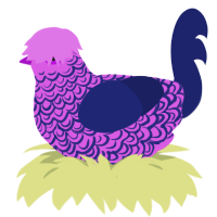 bald, a orchid and navy chicken with a double-lace pattern