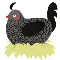 A grey and black chicken with a double-lace pattern