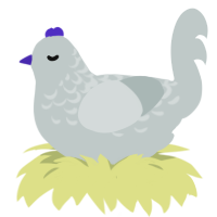 Kanade, a silver chicken with a half-lace pattern