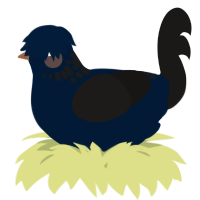 A tumblr and sable chicken with a neck-speckle pattern