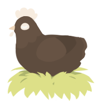 A bark chicken with a head pattern
