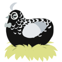 Eclipse, a black and mist chicken with a half-lace pattern