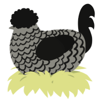A ash and black chicken with a lace pattern