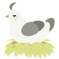 A white and ash chicken