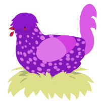 Grape, a violet and orchid chicken with a speckle pattern