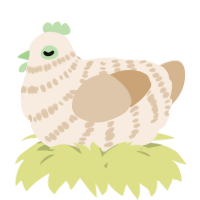 A cream and beige chicken with a bar pattern