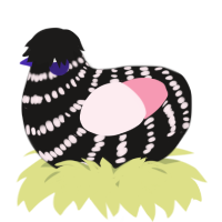 A sable and rose chicken with a bar pattern